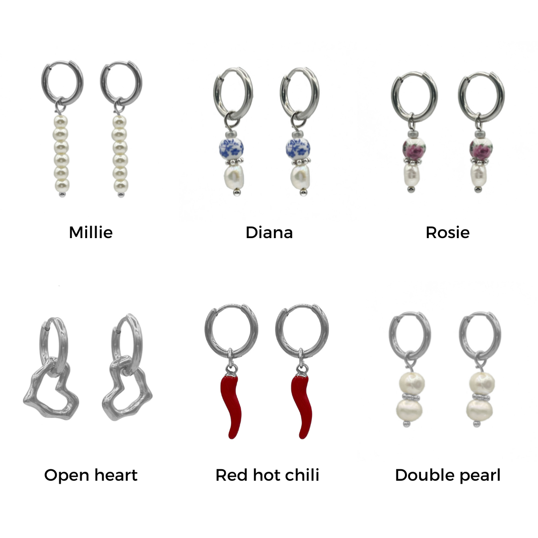 clip oorbellen - zilver